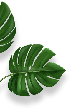 Green Leaf
